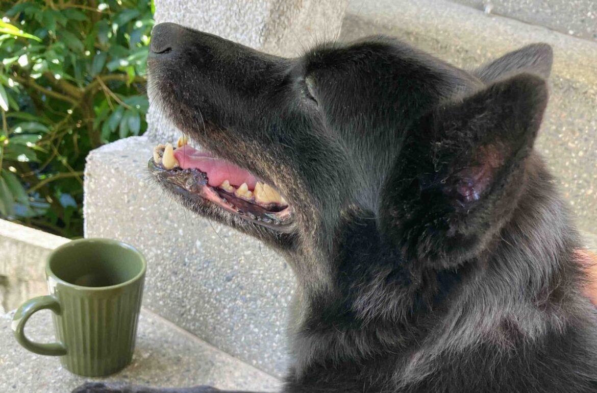 光的課程_恩寵與寬恕