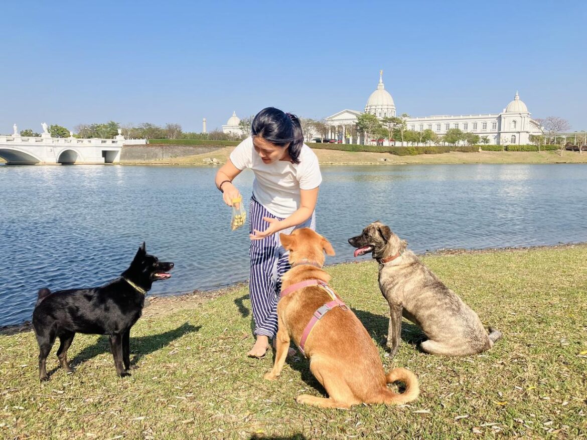 儀式感中的至善意願_bhuta yajna